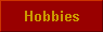  Hobbies 