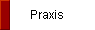  Praxis 
