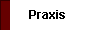  Praxis 