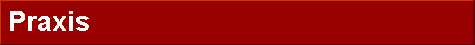  Praxis 