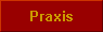  Praxis 